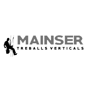 Mainser - Treballs Verticals - Algemesí