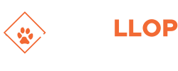 Logo-Texto-Blanco-Horizontal_2_1