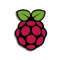 raspberry